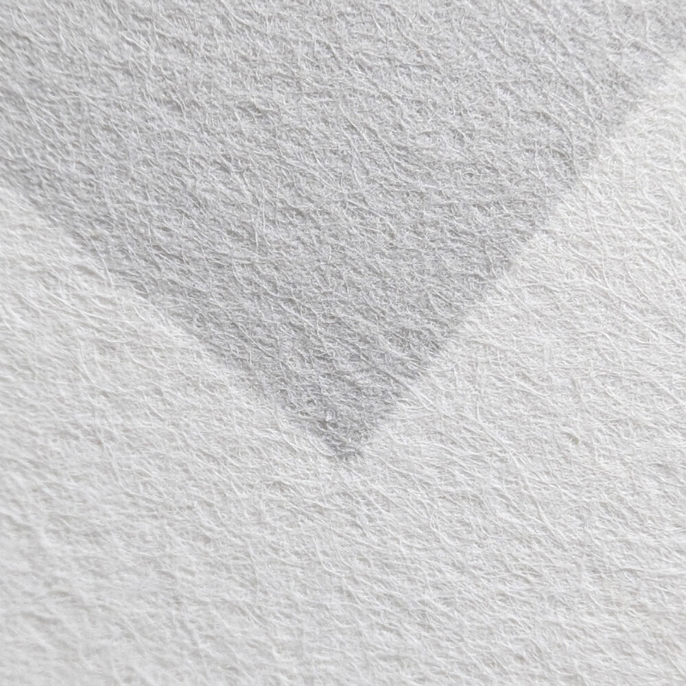 Papier Bambou Awagami :  matière vivante pour images sensibles