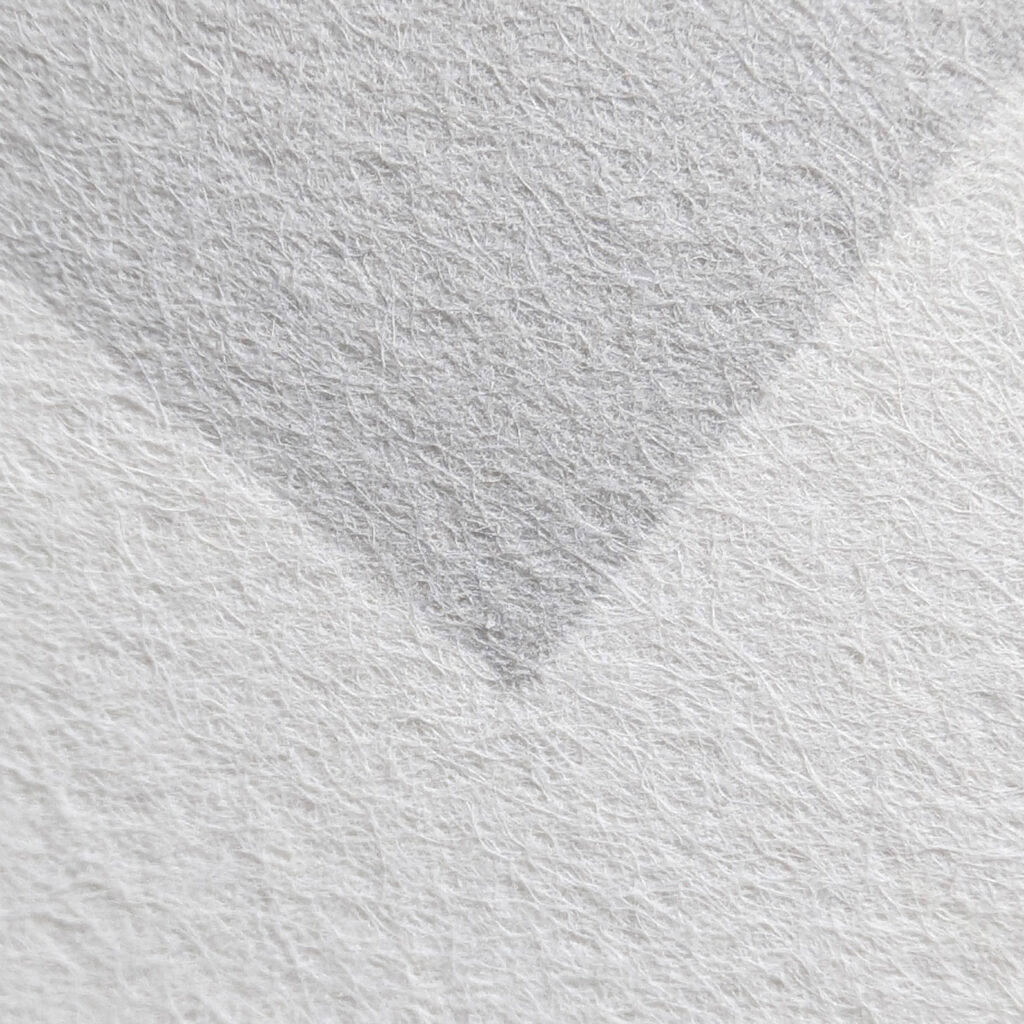 Papier Bambou Awagami :  matière vivante pour images sensibles